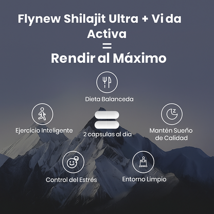 Shilajit | Libera tu cuerpo de los desechos atrapados por la comida chatarra